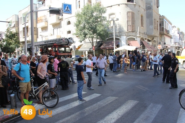 mabna inu910y (16).JPG